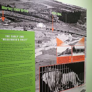 The Lore Behind The Roar! - The Early Zoo Display