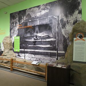 The Lore Behind The Roar! - Belle Benchley and Grotto Display