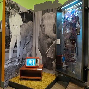 The Lore Behind The Roar! - Joan Embery Tonight Show Display