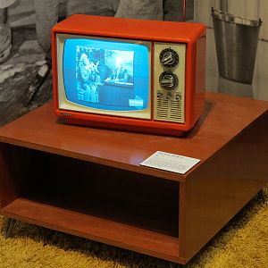 The Lore Behind The Roar! - Joan Embery Tonight Show Display