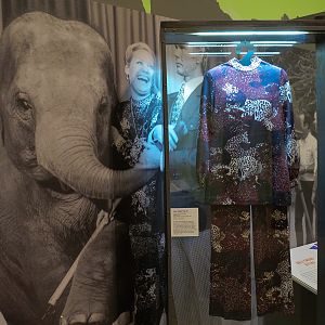 The Lore Behind The Roar! - Joan Embery Tonight Show Display