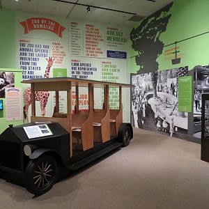 The Lore Behind The Roar! - Zoo Bus Display