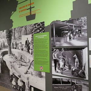 The Lore Behind The Roar! - Childrens Zoo Display