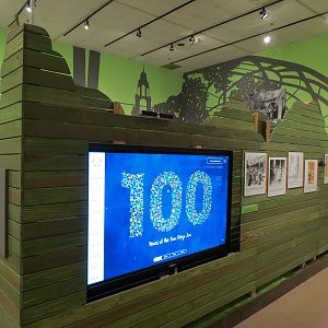 The Lore Behind The Roar! - Interactive Timeline Screen