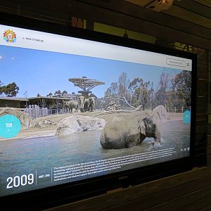 The Lore Behind The Roar! - Interactive Timeline Screen