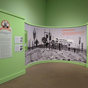 The Lore Behind The Roar! - Wild Animal Park Display