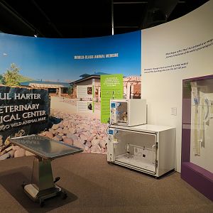 The Lore Behind The Roar! - Veterinary Display