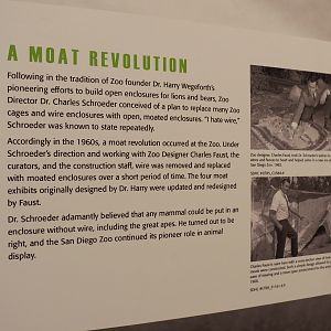 The Lore Behind The Roar! - Charles Faust Zoo Design Display
