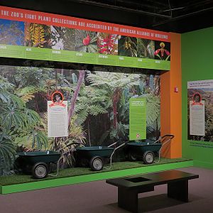 The Lore Behind The Roar! - Plant Collections Display