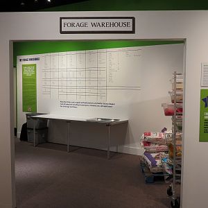 The Lore Behind The Roar! - Forage Warehouse Display