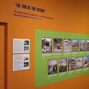 The Lore Behind The Roar! - Safari Park Display