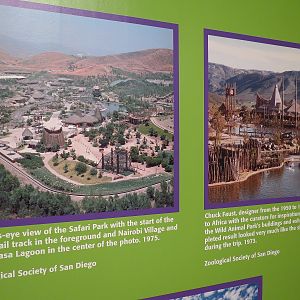 The Lore Behind The Roar! - Safari Park Display