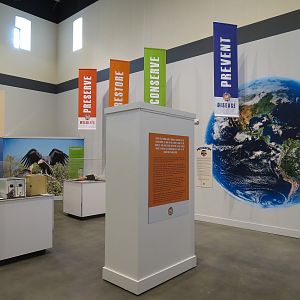 The Lore Behind The Roar! - Conservation Display