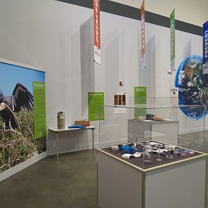 The Lore Behind The Roar! - Conservation Display