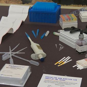 The Lore Behind The Roar! - Frozen Zoo Display