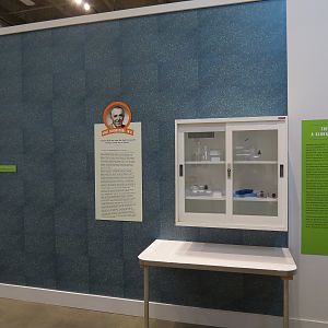 The Lore Behind The Roar! - Frozen Zoo Display