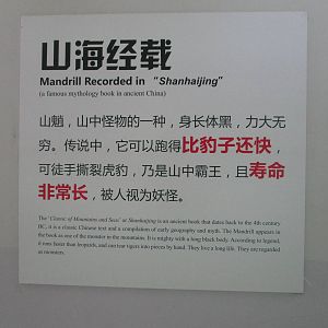 Interesting Sign - 16/04/2016