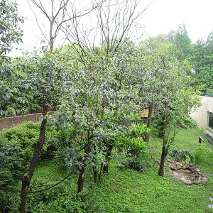 Squirrel Monkey Enclosure - 16/04/2016