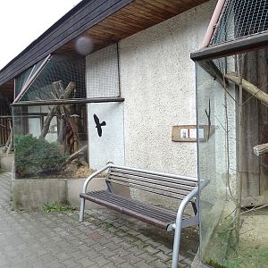 Zoo Jihlava 0/2016: Cat House; small cats outdoor enclosures