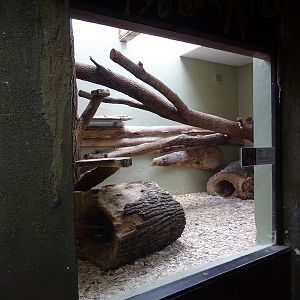 Zoo Jihlava 0/2016: Cat House margay indoor enclosure