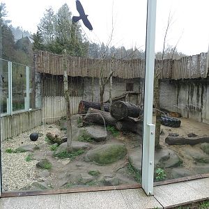 Zoo Jihlava 0/2016: Cat House Sumatran tiger enclosure