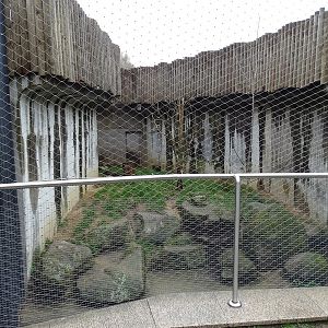 Zoo Jihlava 0/2016: Cat House Serval enclosure