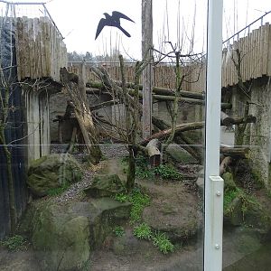 Zoo Jihlava 0/2016: Cat House Sri Lankan leopard enclosure