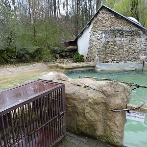 Zoo Jihlava 04/2016: Common seal enclosure