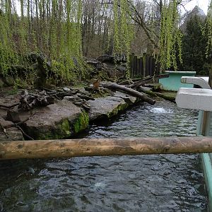 Zoo Jihlava 04/2016: Small-clawed otter enclosure