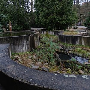 Zoo Jihlava 04/2016: Turtle enclosure