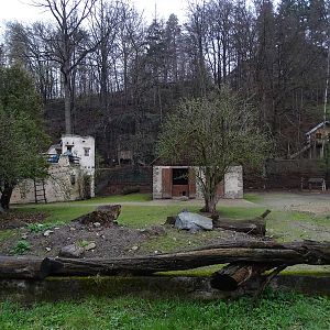 Zoo Jihlava 04/2016: Mara / rhea enclosure