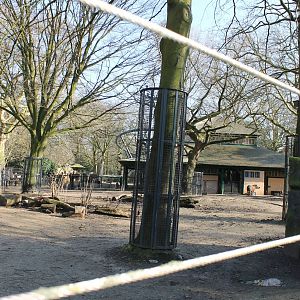 Lowland tapir and Llama enclosure