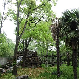 Bornean Orangutan Outdoor Enclosure - 16/04/2016