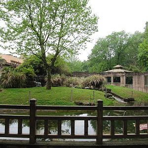 Gorilla Outdoor Enclosure - 16/04/2016