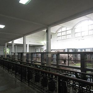 Elephant House - 16/04/2016