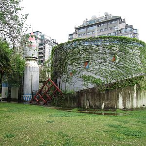 Interesting Unused Building - 16/04/2016