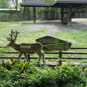 Northeast Red Deer Enclosure - 16/04/2016