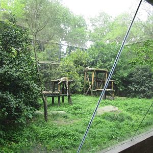 Leopard Enclosure - 16/04/2016