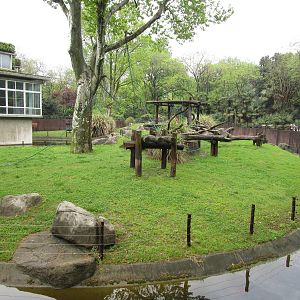Chimpanzee Enclosure - 16/04/2016