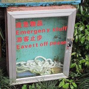 Nothing about this picture is OK