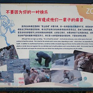 'No feeding' signage - 16/04/2016