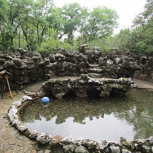 Bear Enclosure - 16/04/2016