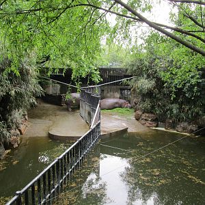 Common Hippo Enclosures - 16/04/2016