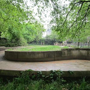 Elephant Pool - 16/04/2016