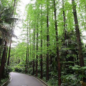 Pathway - 16/04/2016