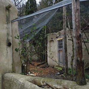 Zoo Jihlava 04/2016: Parakeet and cavy enclsoure