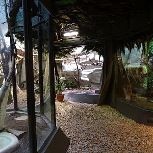 Zoo Jihlava 04/2016: Amazon house