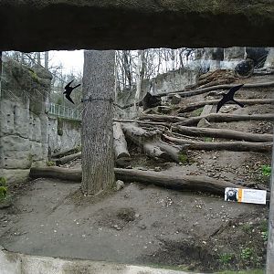 Zoo Jihlava 04/2016: Sun bear enclosure