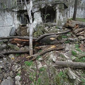 Zoo Jihlava 04/2016: Sun bear enclosure