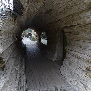 Zoo Jihlava 04/2016: Sun bear indoor viewing